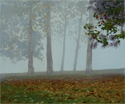 thumbnail of a picture of some trees in Queens Park