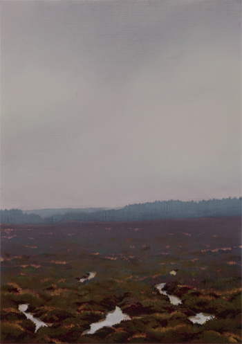 Picture of a Highland Bog