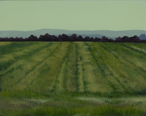 Picture of cut grass on the somerset levels
